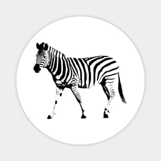 Zebra pop art Magnet